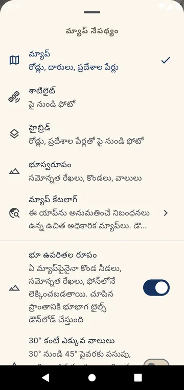 మ్యాప్ ఎంపిక: వీధి, శాటిలైట్, హైబ్రిడ్, భూస్వరూపం